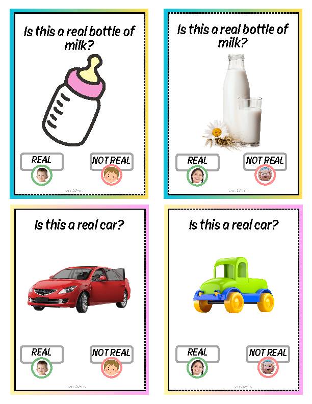 Real or Not Real? Everyday Objects for Kids with Autism 40 Visual cards ...