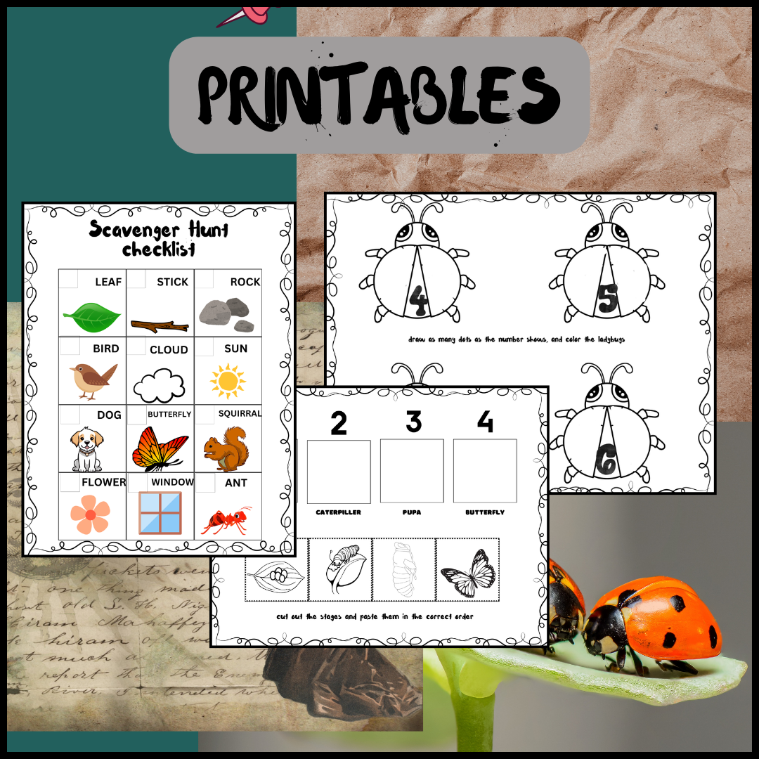 BUGS- Preschool Weekly Lesson Plan - Classful bugs-preschool-weekly-lesson-plan-classful