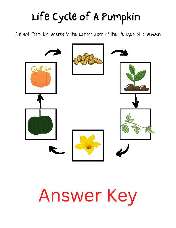 Life Cycle Of A Pumpkin Worksheet Life Cycle Of A Pumpkin Tab Flip