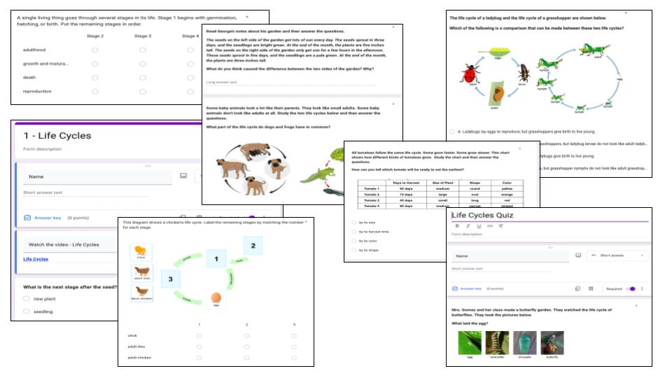 3rd Grade Science Practice Life Cycles 3.LS1.1 (Paper & Digital) - Classful