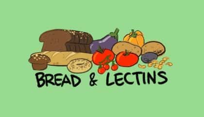 what is lectin