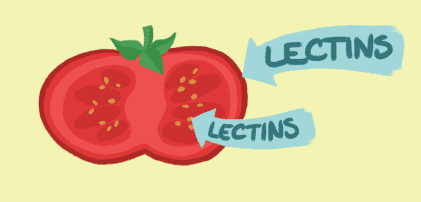 Not all lectins are bad for you