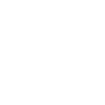 Open homes and auction