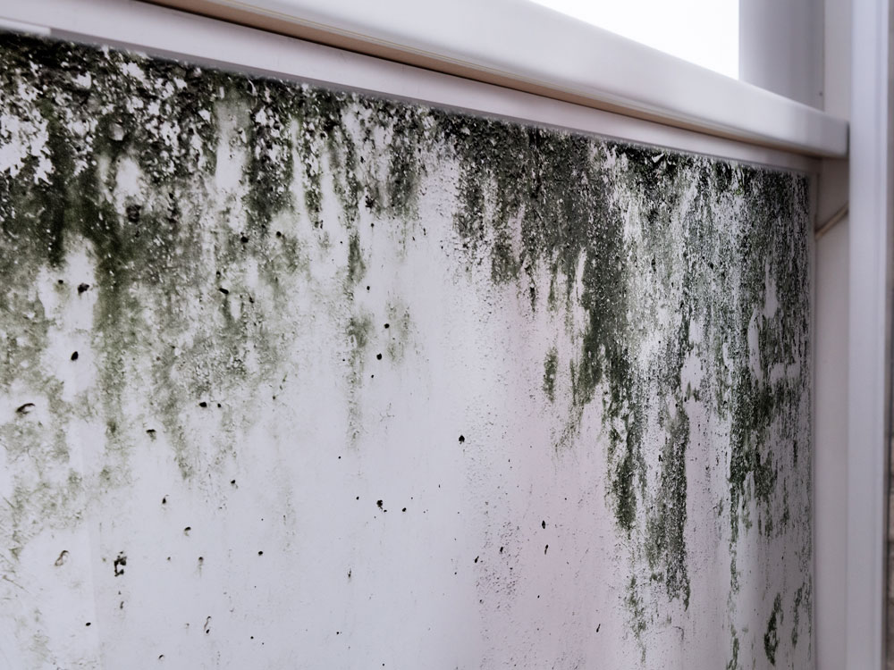 Fire-Damage-Restoration_Mold-Restoration_Butte-Montana