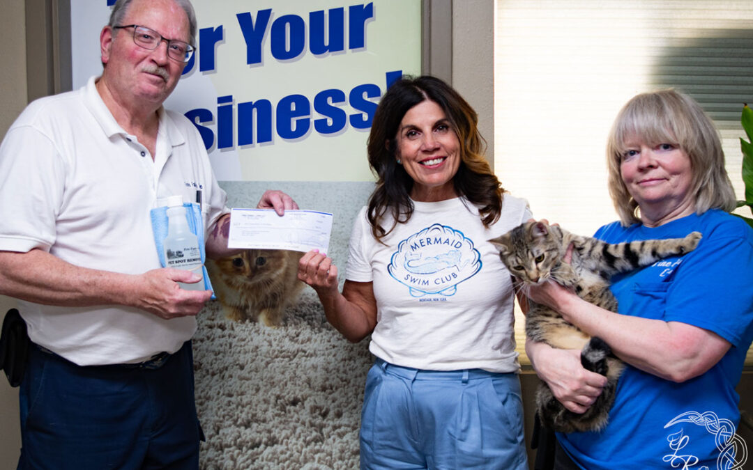 Pets, Allergies, and Carpet Cleaning: Preparing Your Home for Spring