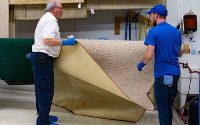 Returning to Our Roots: Fine Fabric Care’s Focus for 2027