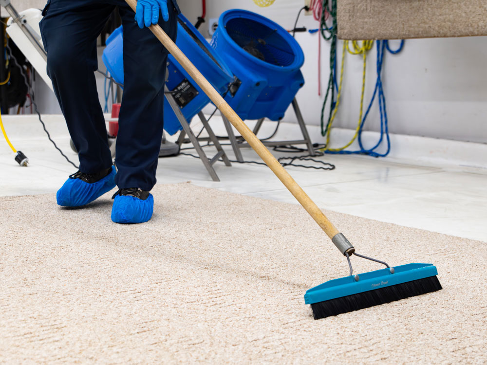 area rug cleaning vacuum