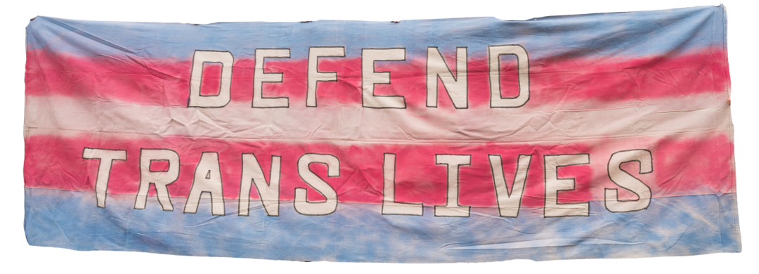 Untitled design Defend Trans Lives