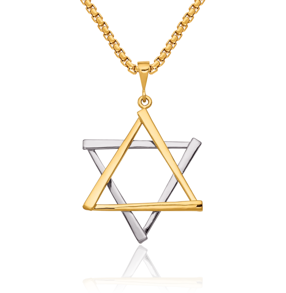 14K Solid Two Tone Gold Star of David Necklace - Picture 12 of 16