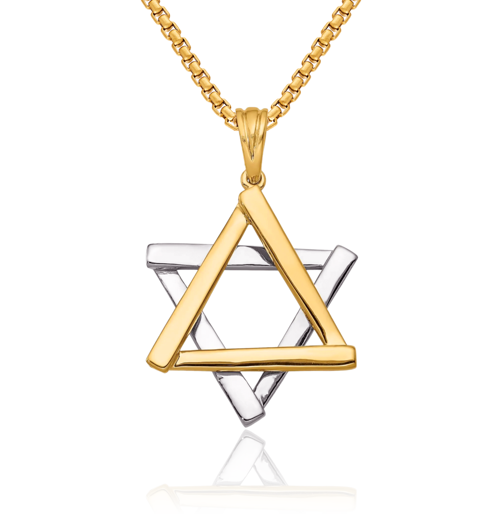 14K Solid Two Tone Gold Star of David Necklace - Picture 12 of 16