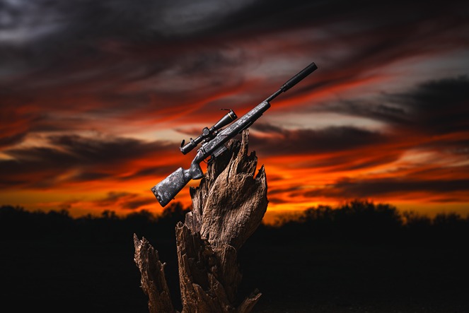 category spotlight image