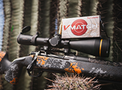 category spotlight image