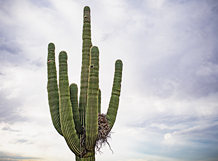 category spotlight image