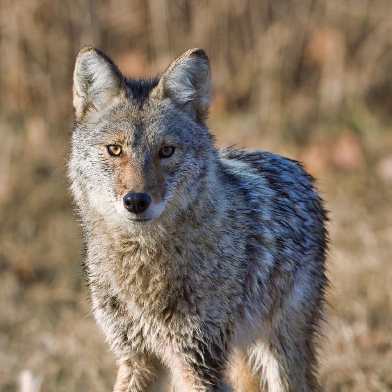 category spotlight image