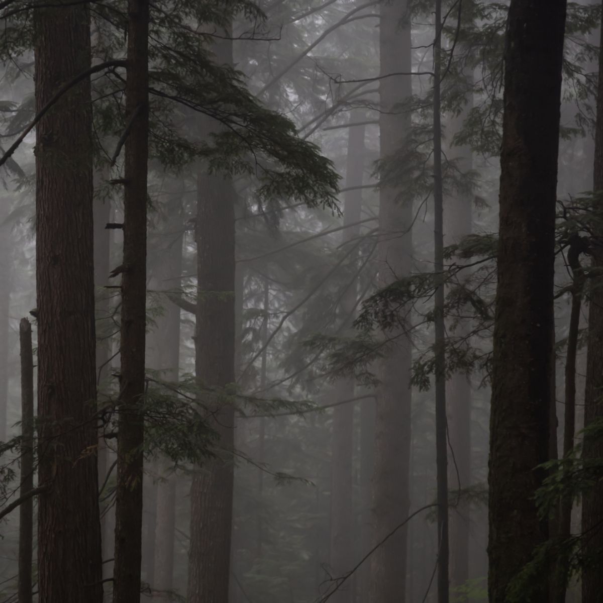 category spotlight image