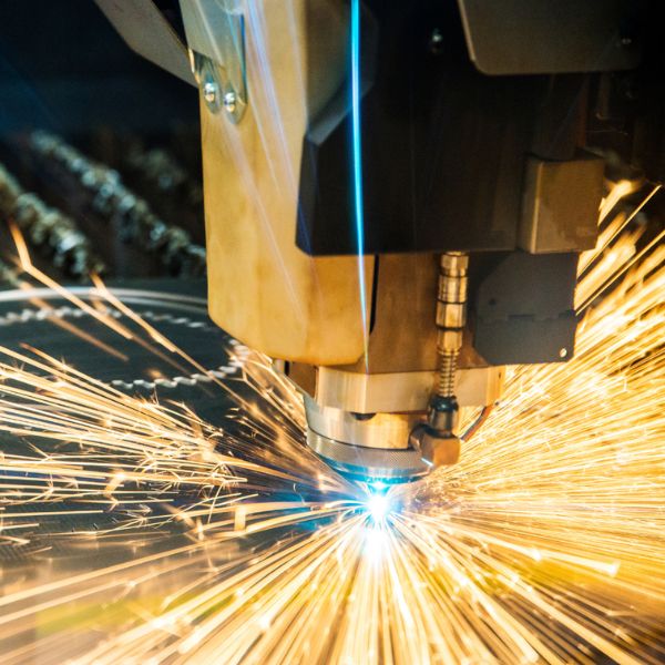 category spotlight image