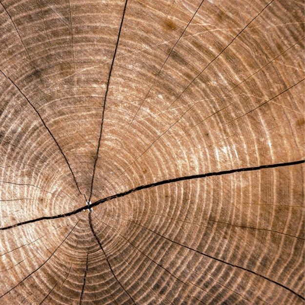 category spotlight image