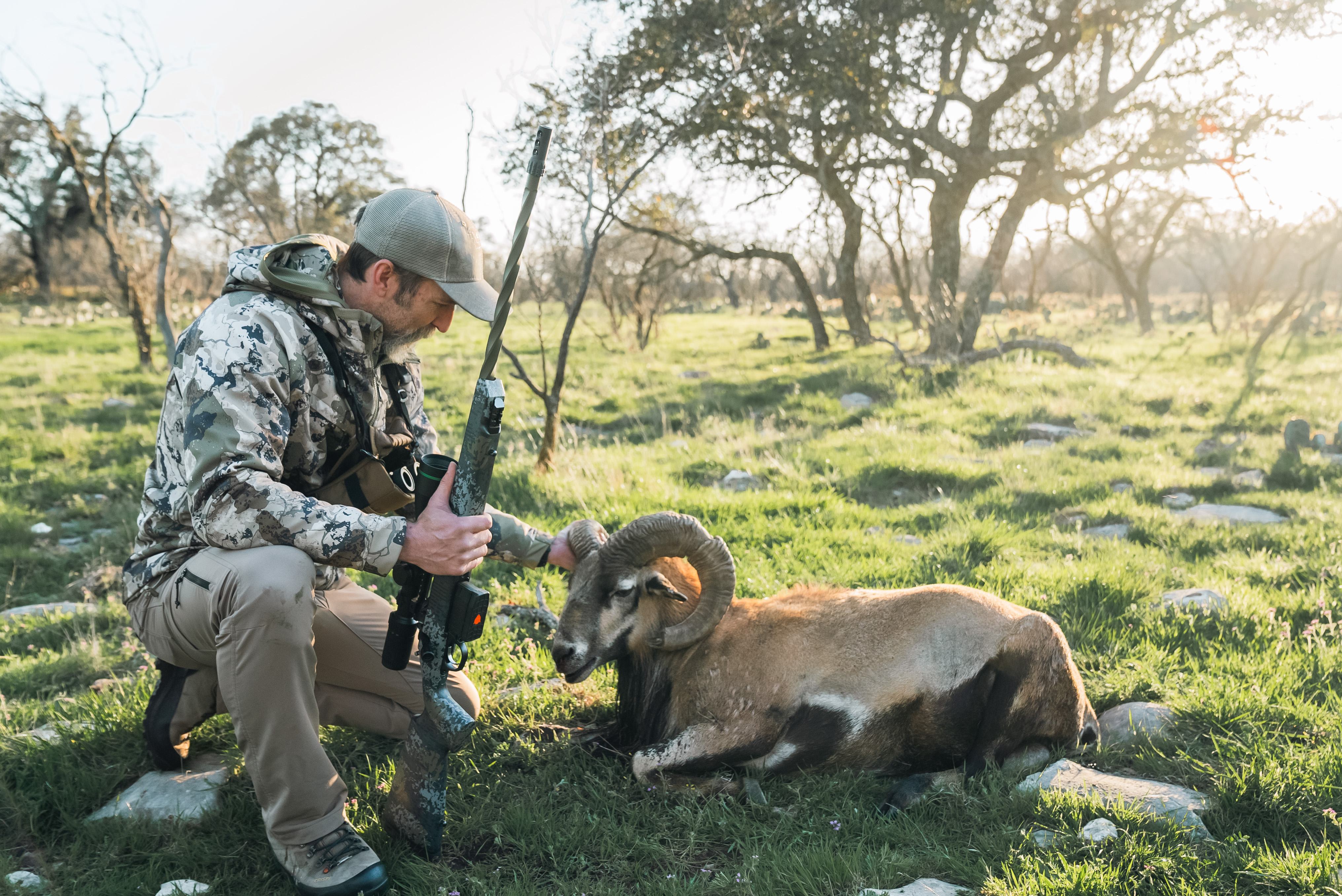 hero background image