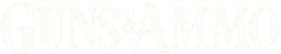 magazine logo