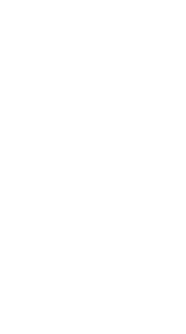 ThermoTemp Propane Smoker Schematic