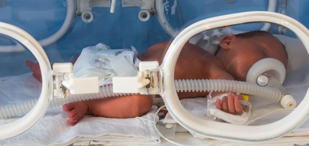 Una Mujer Sudafricana Da A Luz A 10 Bebes