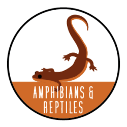 Exploring Amphibians and Reptiles - Jefferson Land Trust Jefferson Land