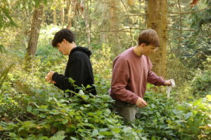 Two teenage boys in waist-high shrubbery in the forest.