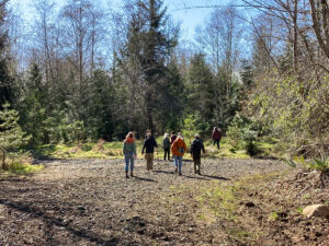 Far-off shot of small group of people walking in forest clearing