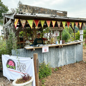 Woman standing behind farmstand counter
