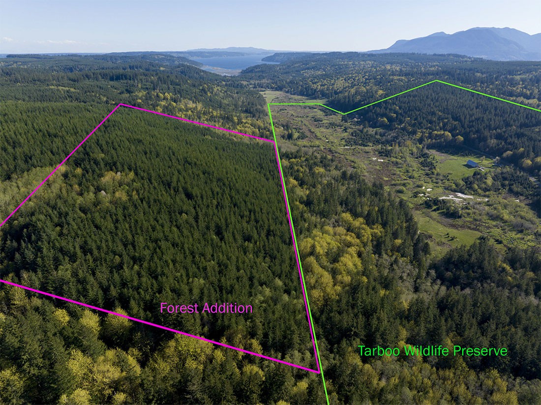 Aerial shot of forested land with colored lines showing the protected areas