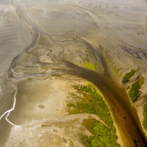 Aerial view of brownish river branching into bay