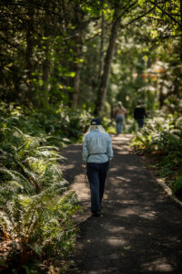 A few people walking on path in lush green forest.