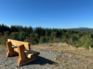Wooden bench on top of ridge under blue sky