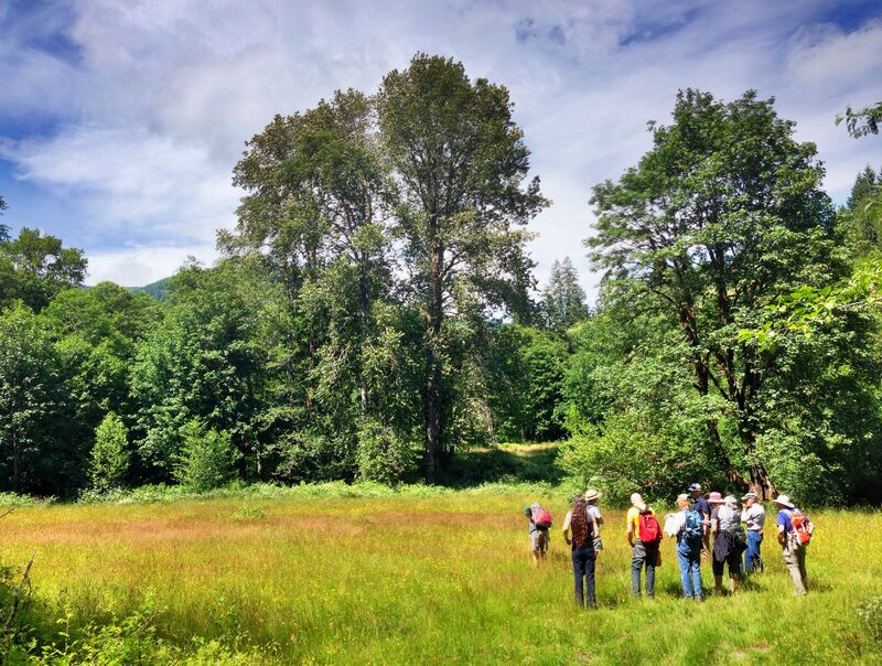 Group of people in field with trees beyond