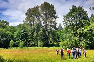 Group of people in field with trees beyond