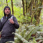 Man standing amongst ferns in a forest.