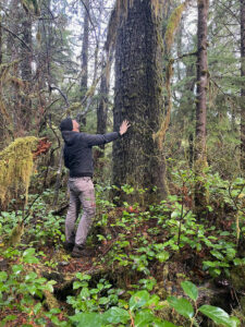 Man looking at large tree in forest.