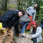Group of teenage students measuring felled tree in forest