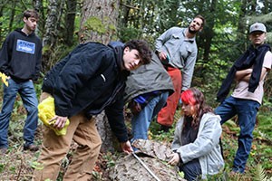 Group of teenage students measuring felled tree in forest