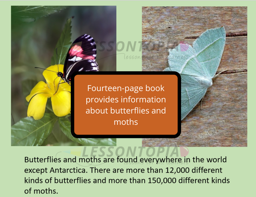 Butterfly and Moth Activities Classful