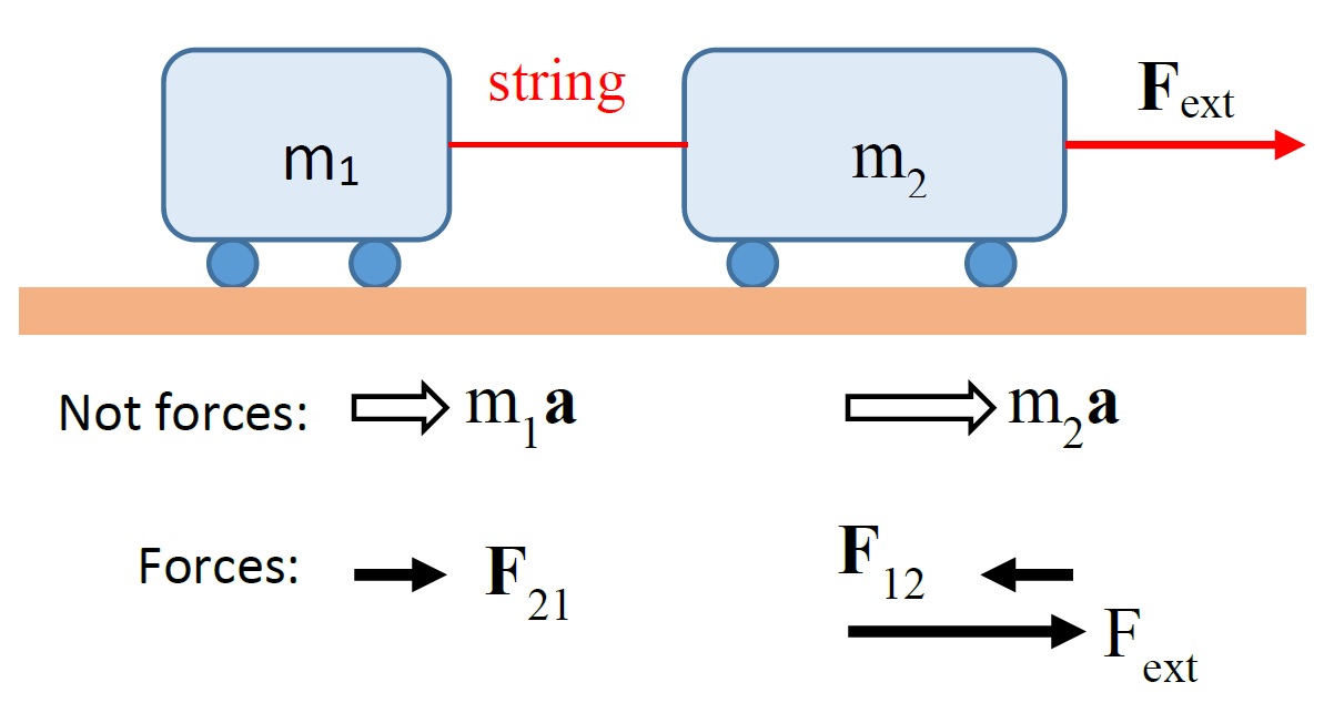 Forces And Motion Basics Newton s 2nd Law A PhET Virtual Lab 
