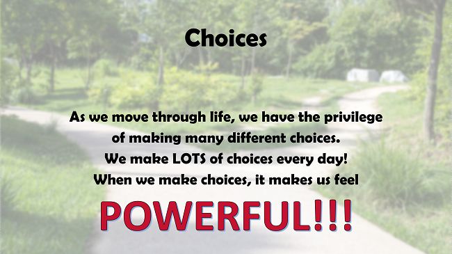 Choices Consequences Cause Effect Responsibility Ready To Use W NO choices-consequences-cause-effect-responsibility-ready-to-use-w-no