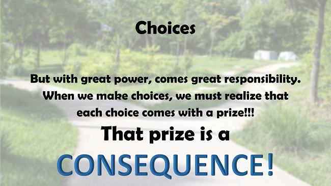 Choices Consequences Cause Effect Responsibility Ready To Use W NO choices-consequences-cause-effect-responsibility-ready-to-use-w-no
