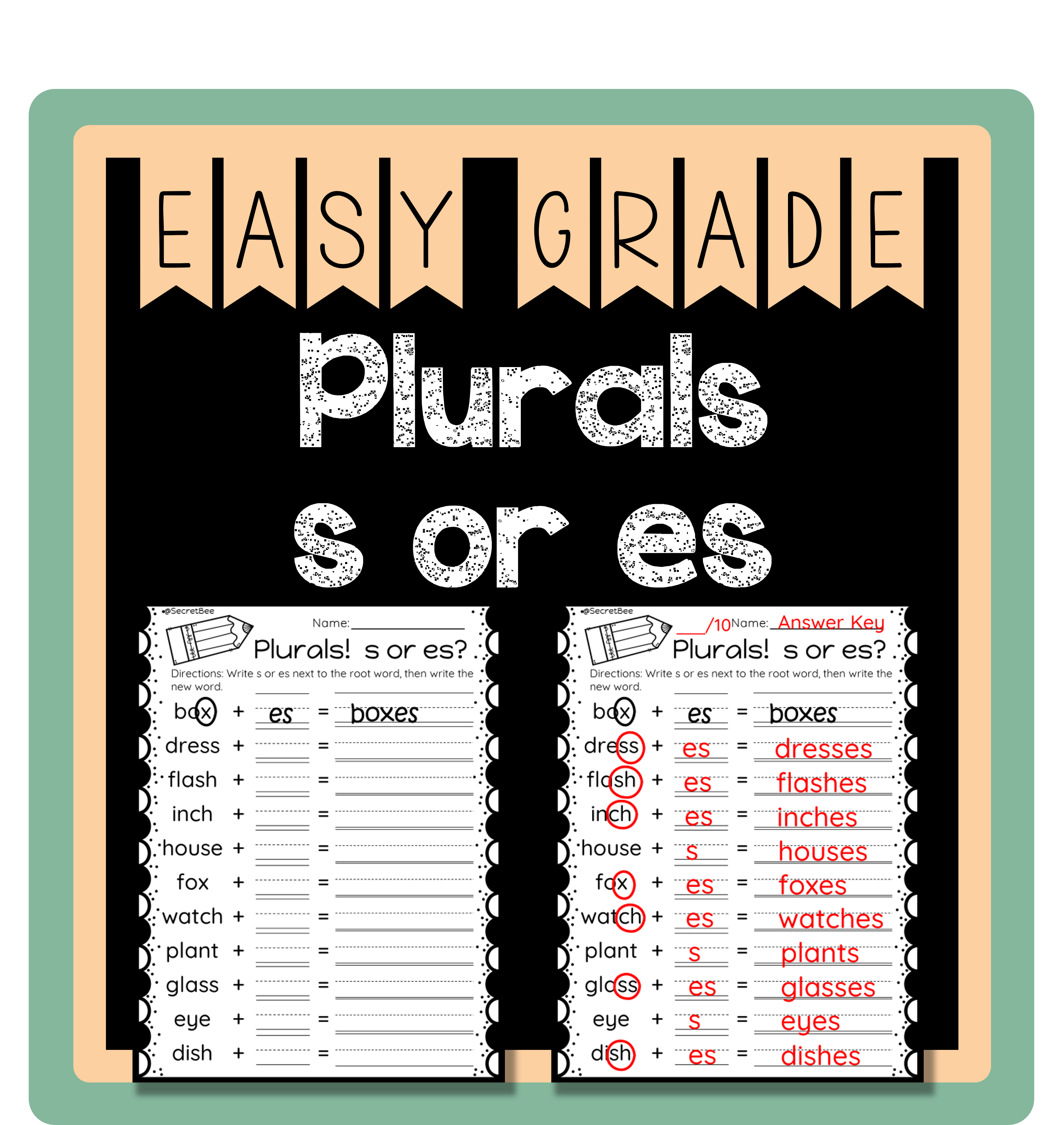 Plurals add s or es Plurals Assessment Classful