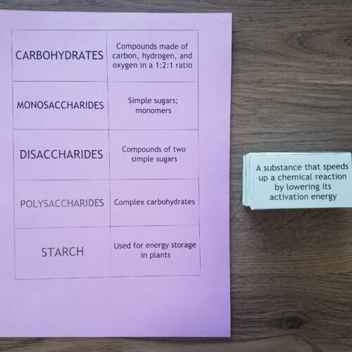 Macromolecules Vocabulary Cards Classful