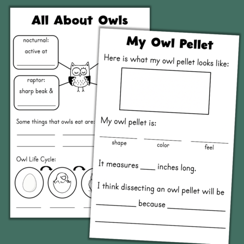 Owl Pellet Dissection Lab Journal OWLS Science Investigation ...