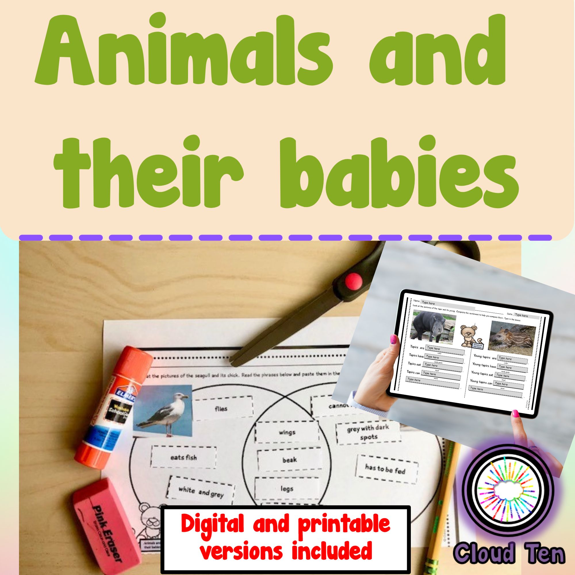 Animals and their babies - Classful