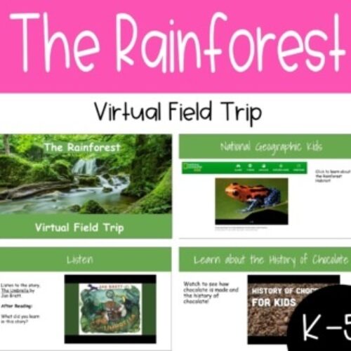 The Rainforest Virtual Field Trip (Google Slides) Classful