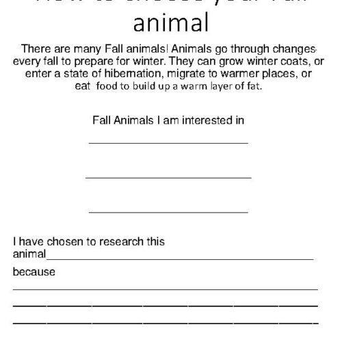 Fall Animal Research Graphic Organizer and Template Guide Classful