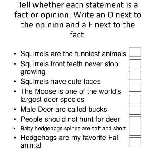 Fall Animal Research Graphic Organizer and Template Guide Classful
